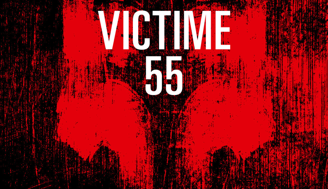 Coup de cœur au rayon thriller : Victime 55 de James Delargy