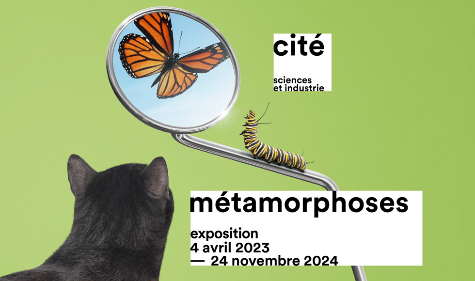 Métamorphoses, la nouvelle exposition pour les 6-11 ans à la Cité des Sciences et de l’Industrie